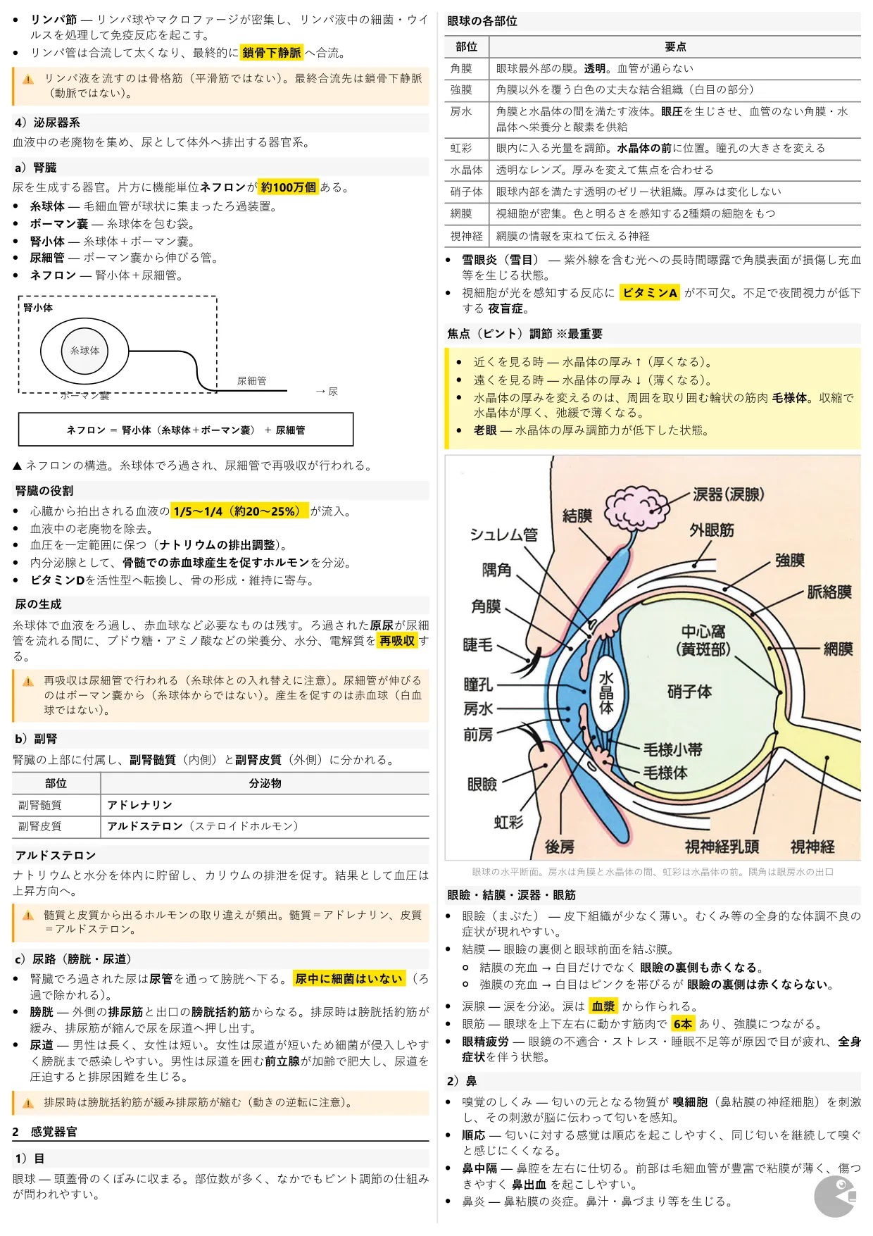 登録販売者試験 まとめノート PDF